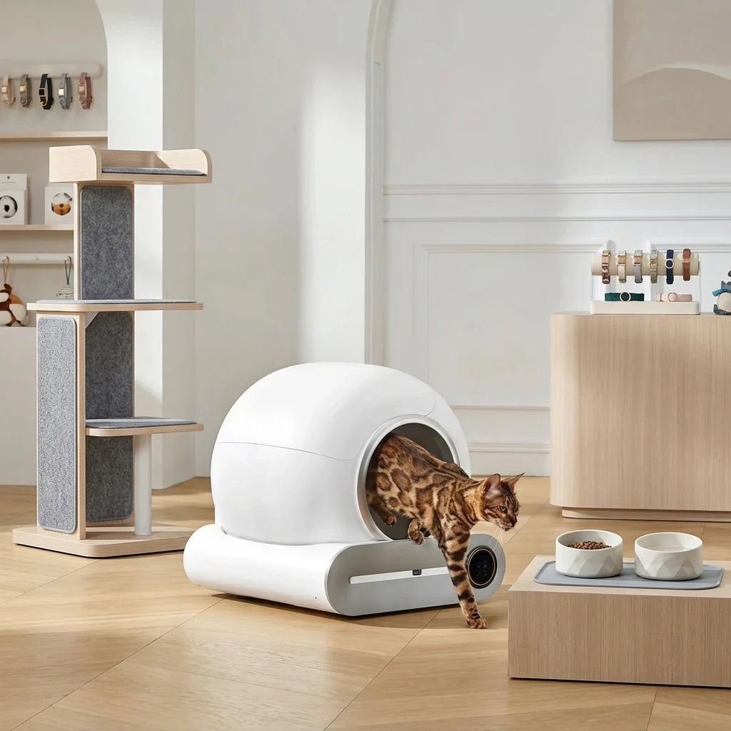 Smart Cat Litter Box - Stress-Free Cleanup!